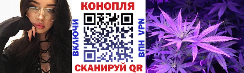 магазин продажи наркотиков  Оса  Марихуана SATIVA & INDICA 